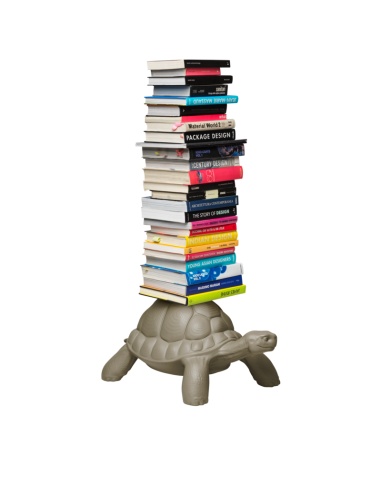 TURTLE CARRY LIBRERIA - QEEBOO