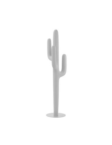 SAGUARO - QEEBOO