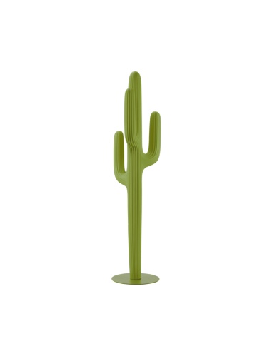 SAGUARO - QEEBOO